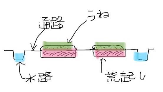 畝の断面図