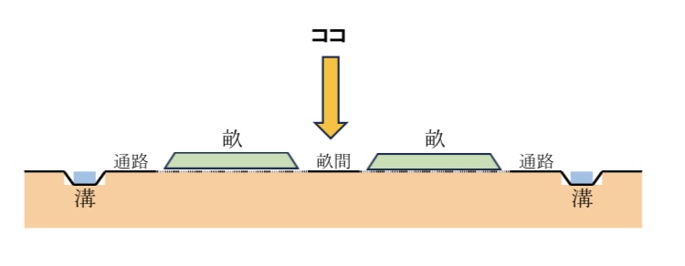 畝間のイラスト