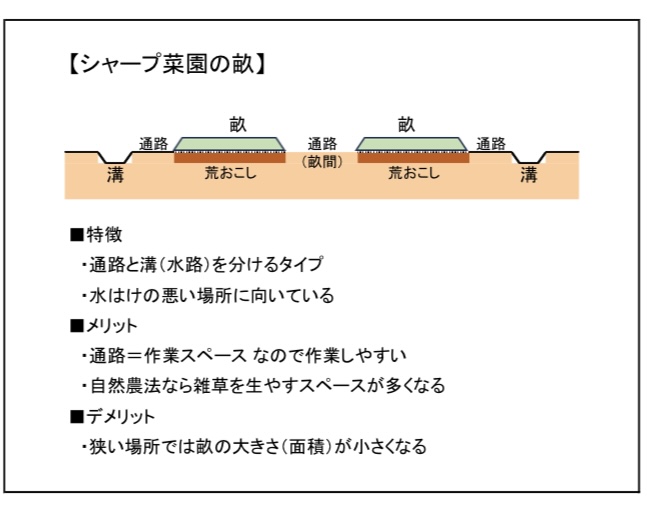 シャープ菜園の畝断面