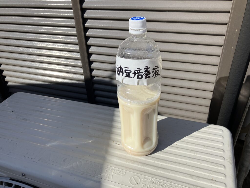 納豆培養液3