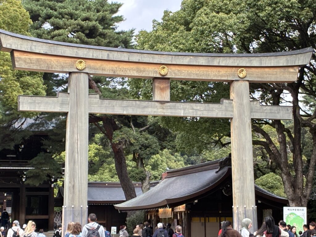 数年ぶりの明治神宮