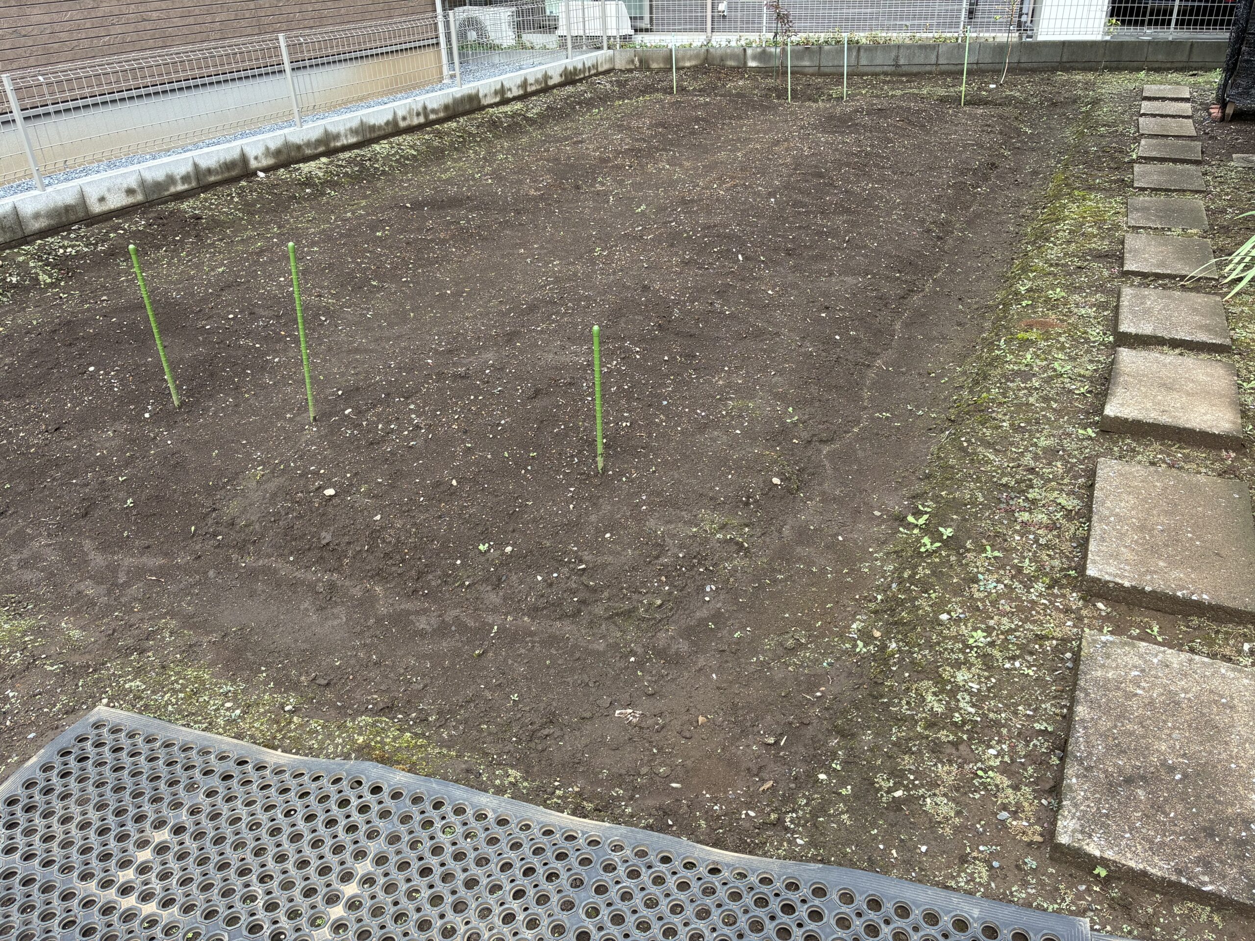 冬のシャープ菜園