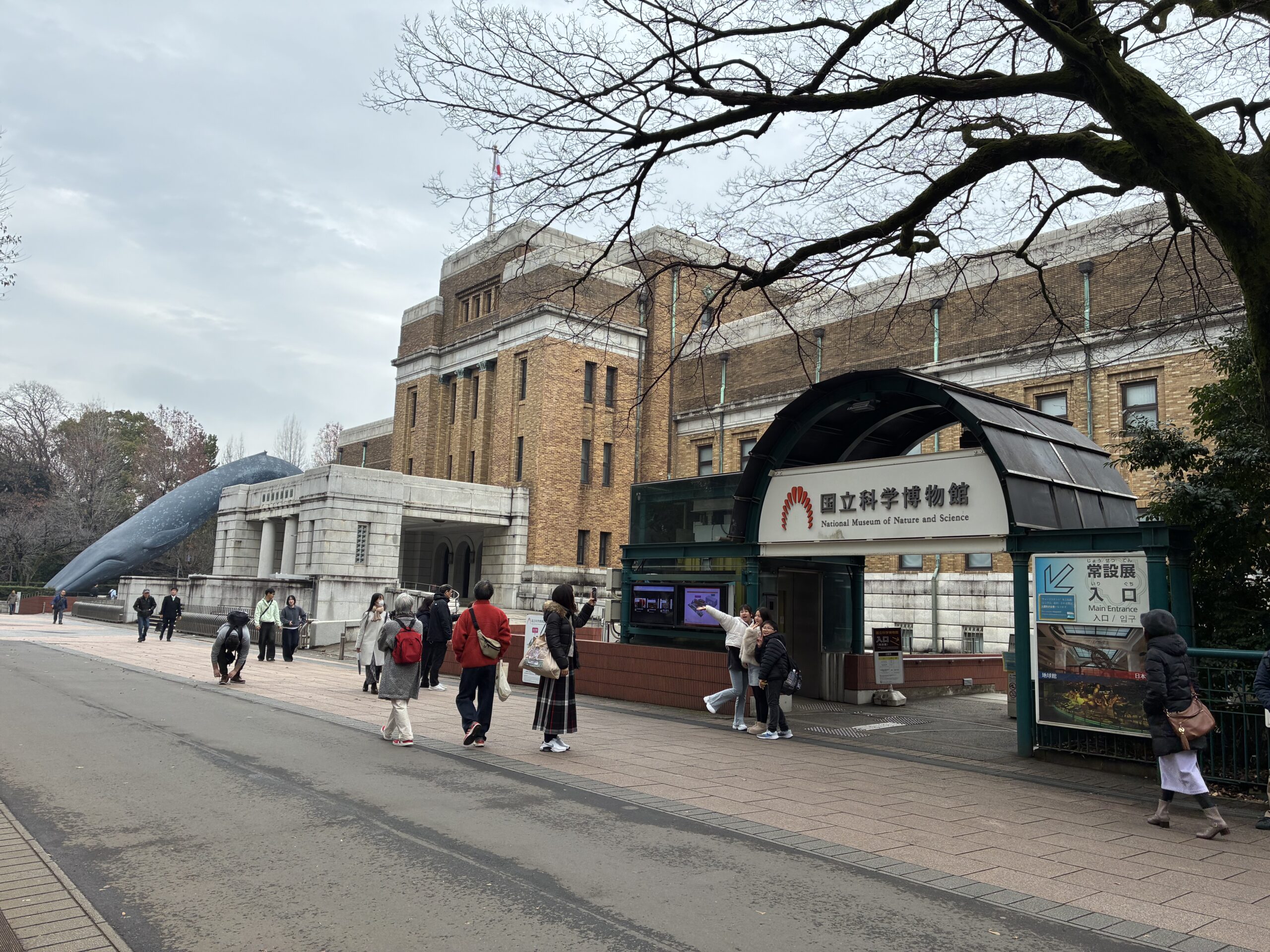 国立科学博物館