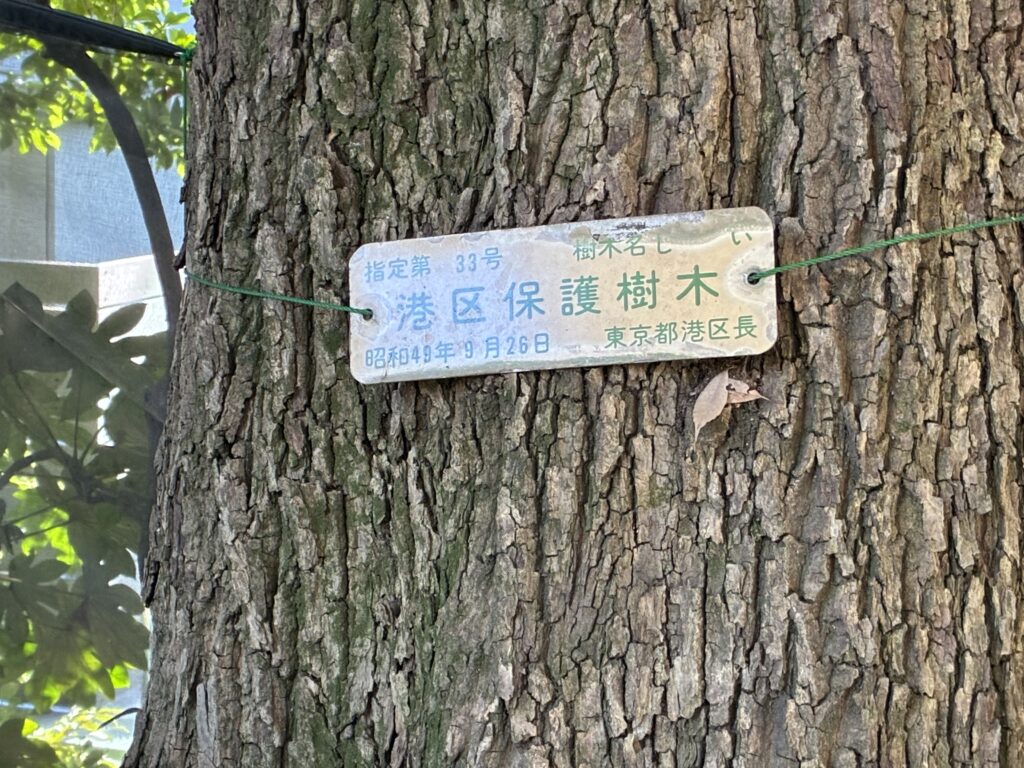 港区保護樹木