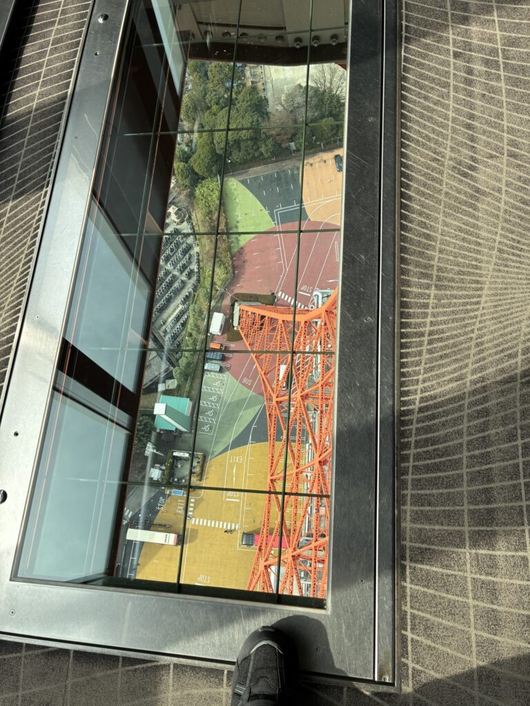 スカイウォークウィンドウ1