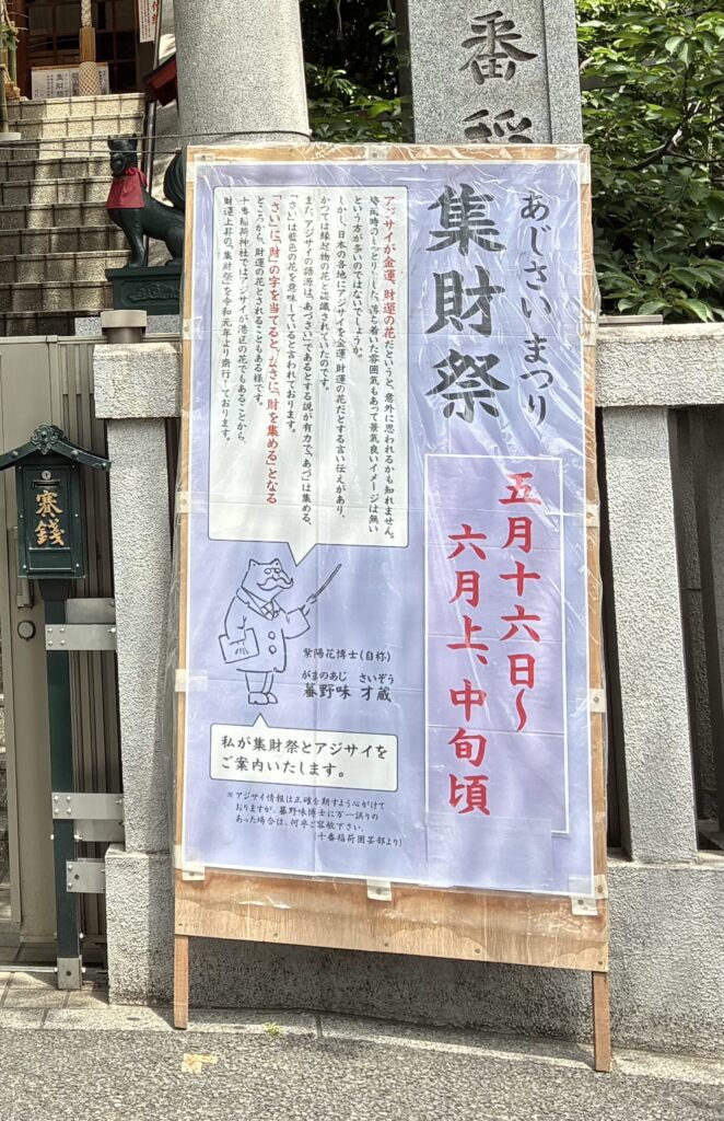 集財祭（あじさいまつり）