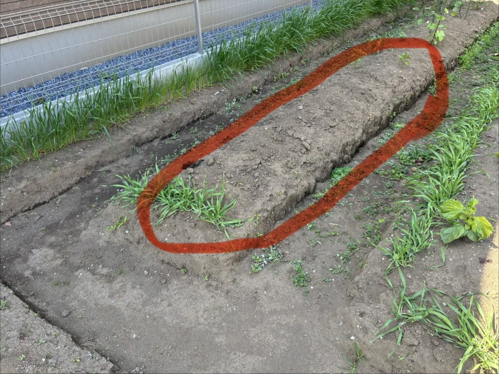 ジャガイモがごっそり無くなっている!